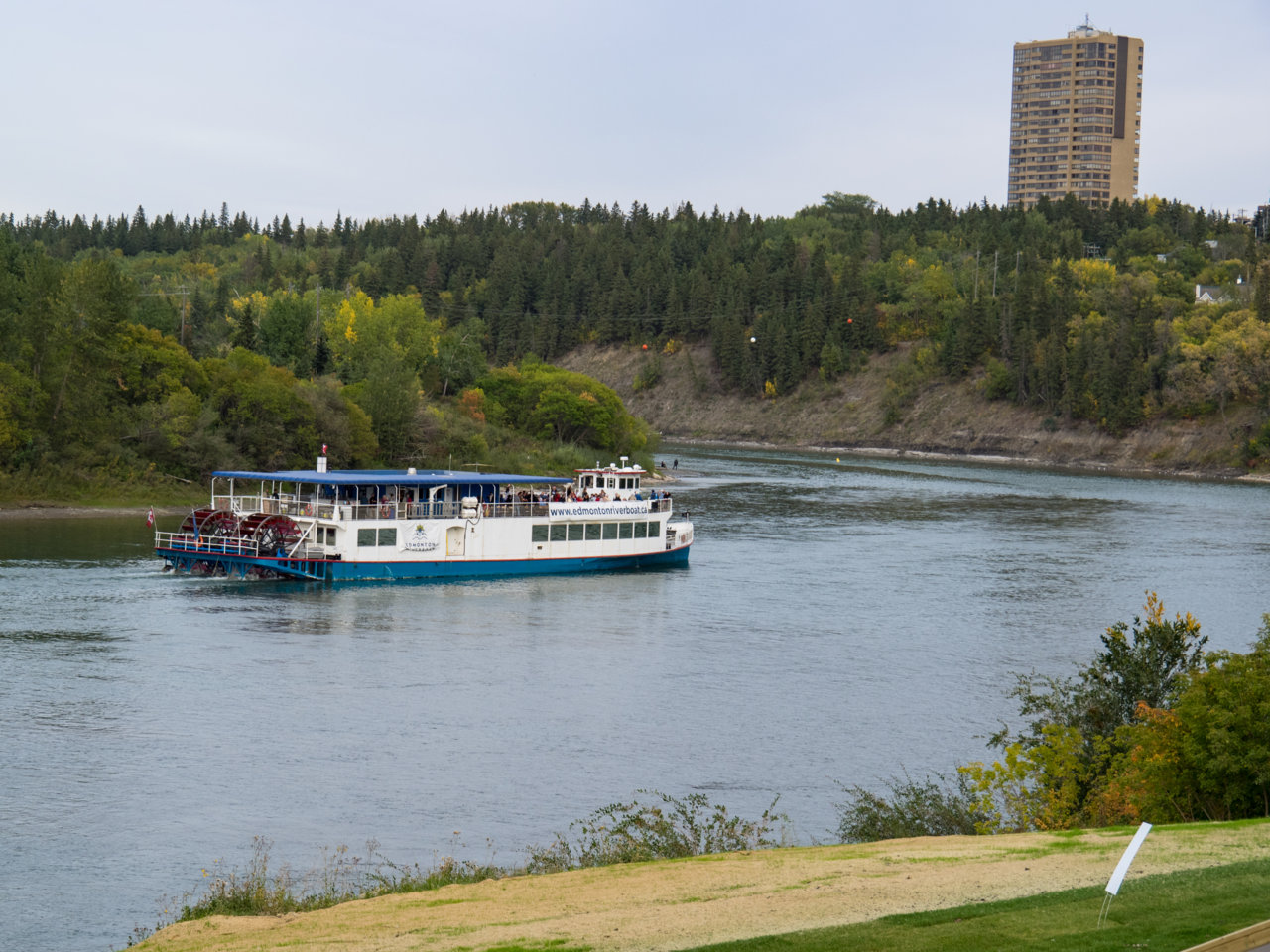 P9060041.jpg