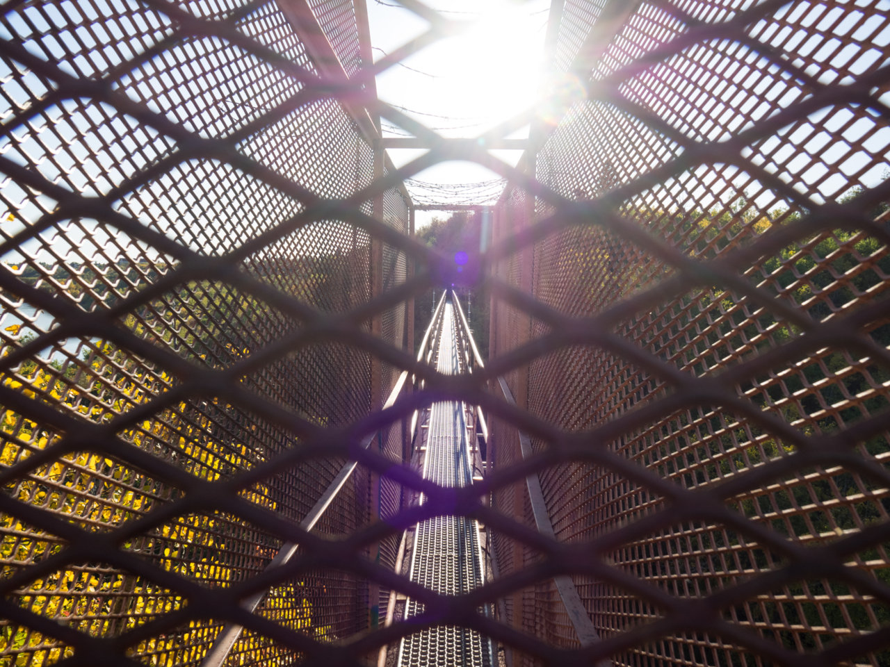 P9210494.jpg