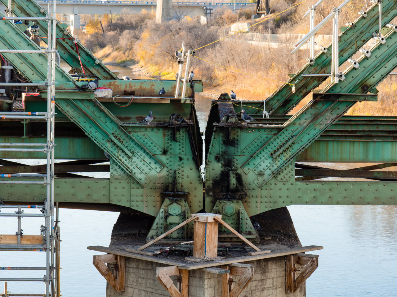 PA210167.jpg