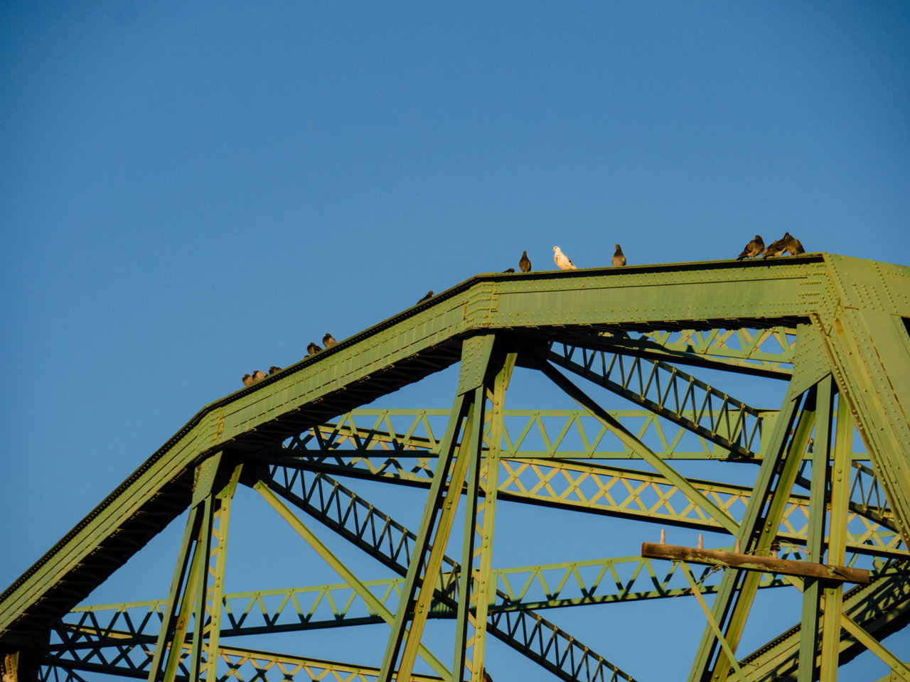 PA210194.jpg