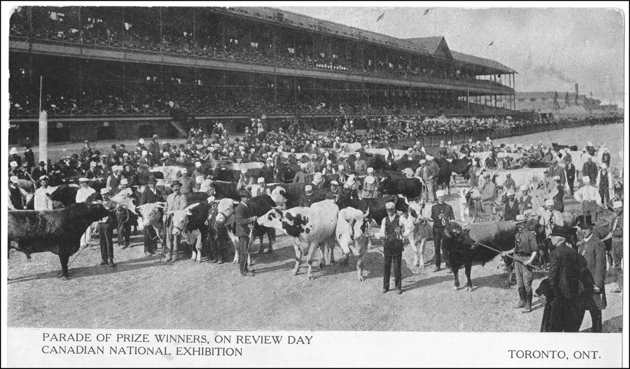 Parade of Prize Winners CNE 1906  TPL.jpg