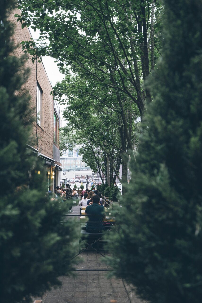 pexels-scottwebb-137039.jpg