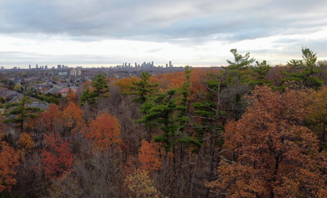 Photo_6685439_DJI_767_jpg_4703454_0_202011374524_photo_original~2.jpg