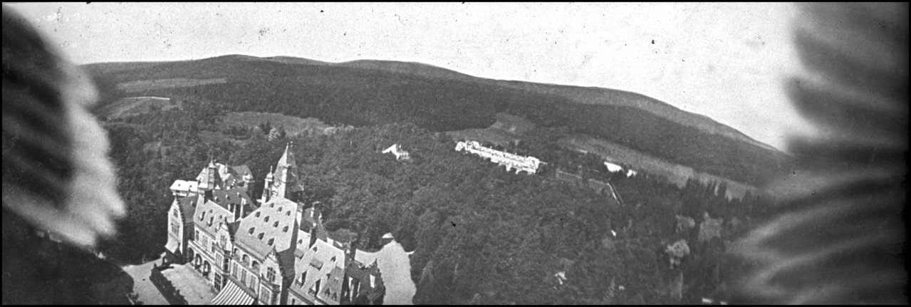 pigeon with a camera c.1907.jpg