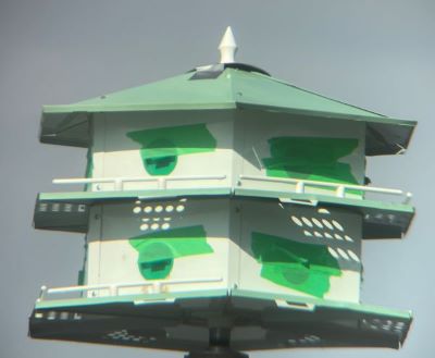 Purple_martin_house_23Feb2024.JPG