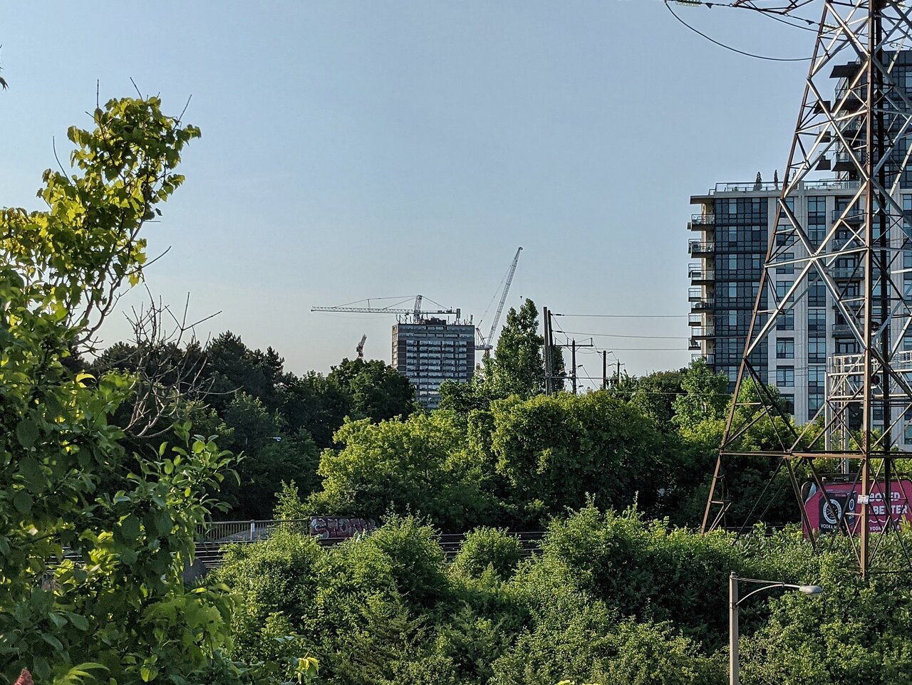 PXL_20210704_222749604-01.jpeg