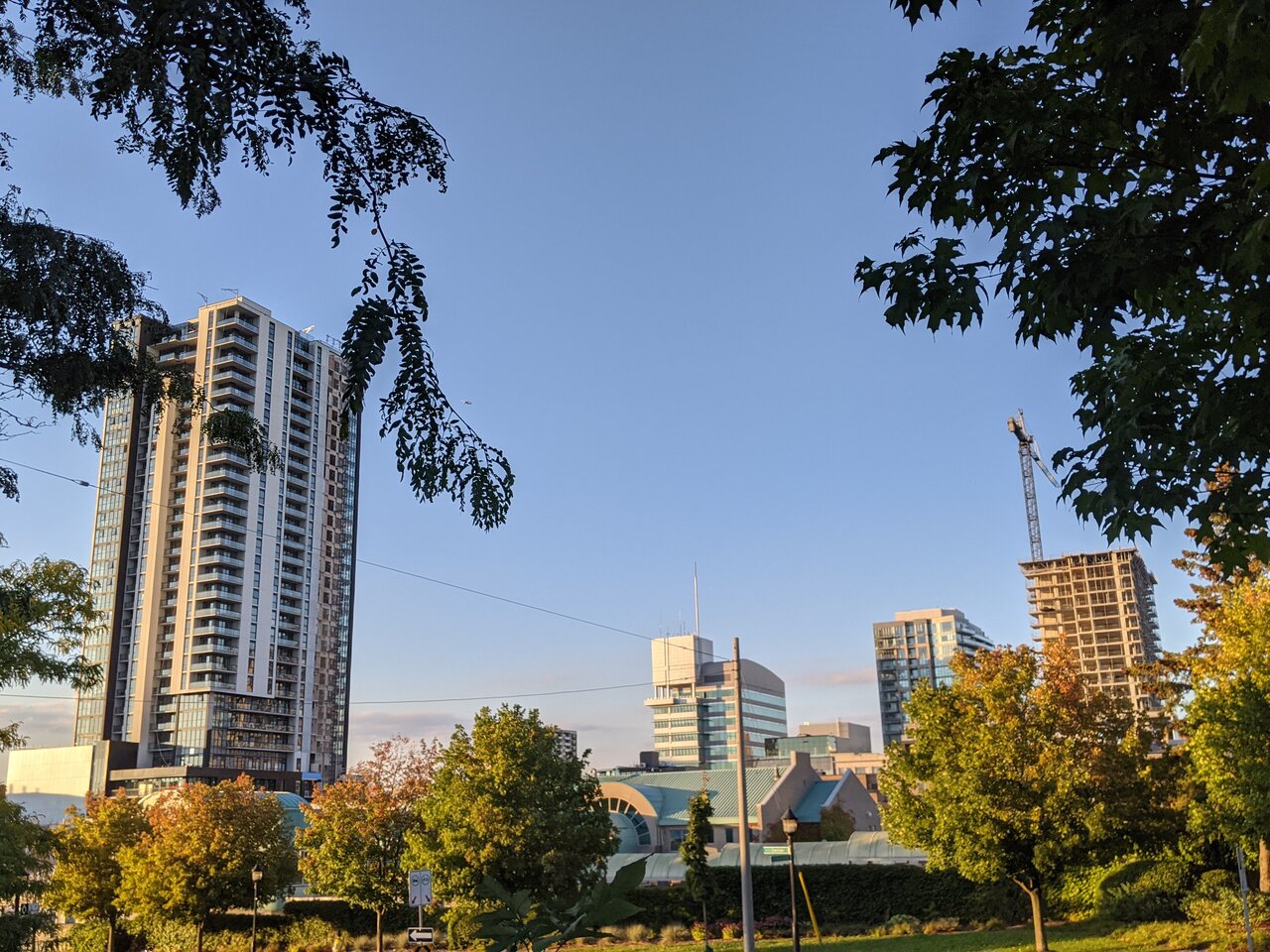 PXL_20210916_225141201.jpg