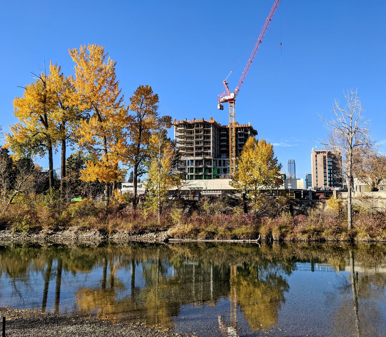 PXL_20211003_230416324~2.jpg