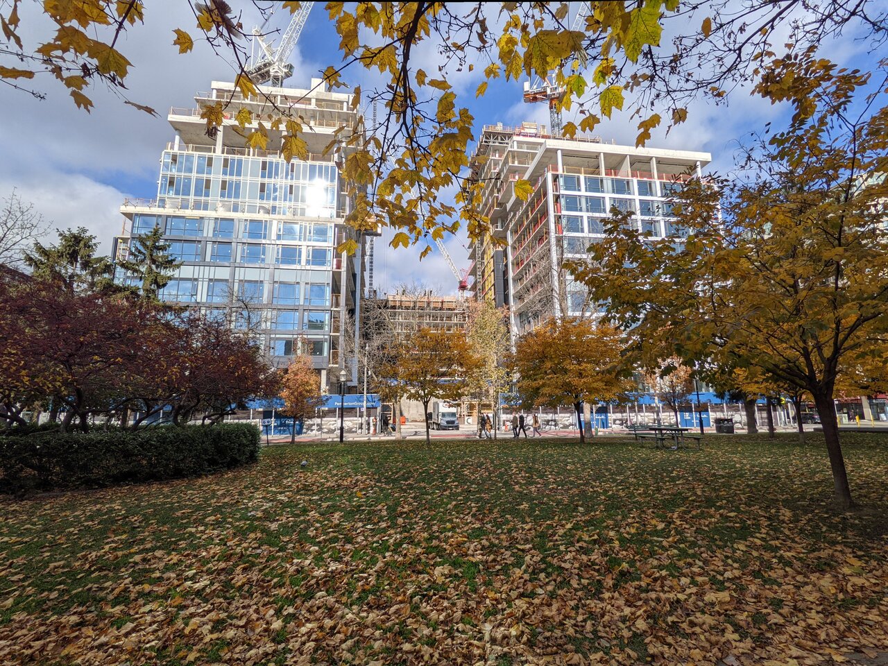 PXL_20211113_163328095.jpg
