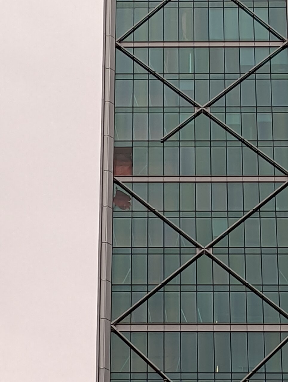 PXL_20211120_195355282.jpg