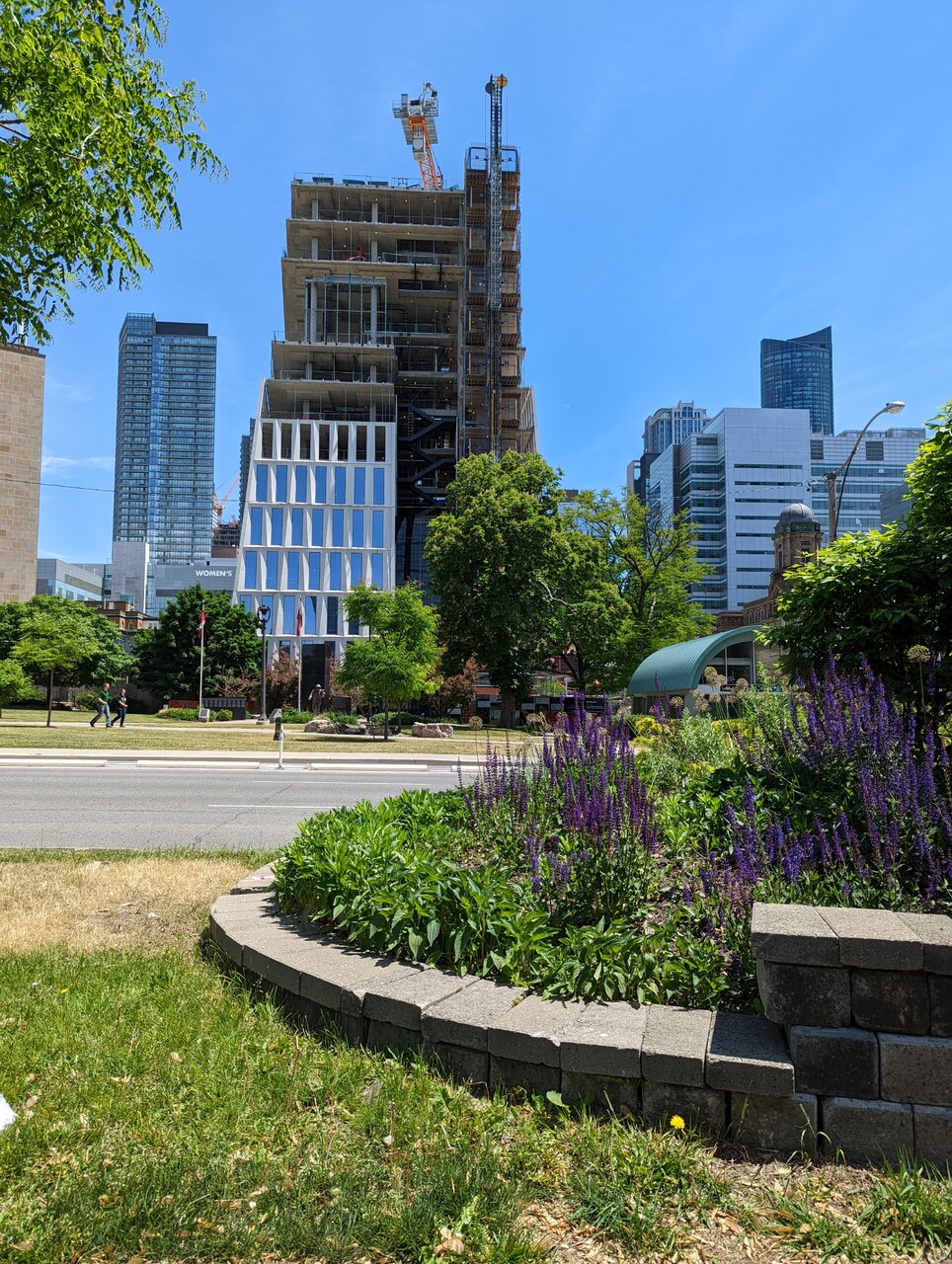 PXL_20220605_165042735.jpg