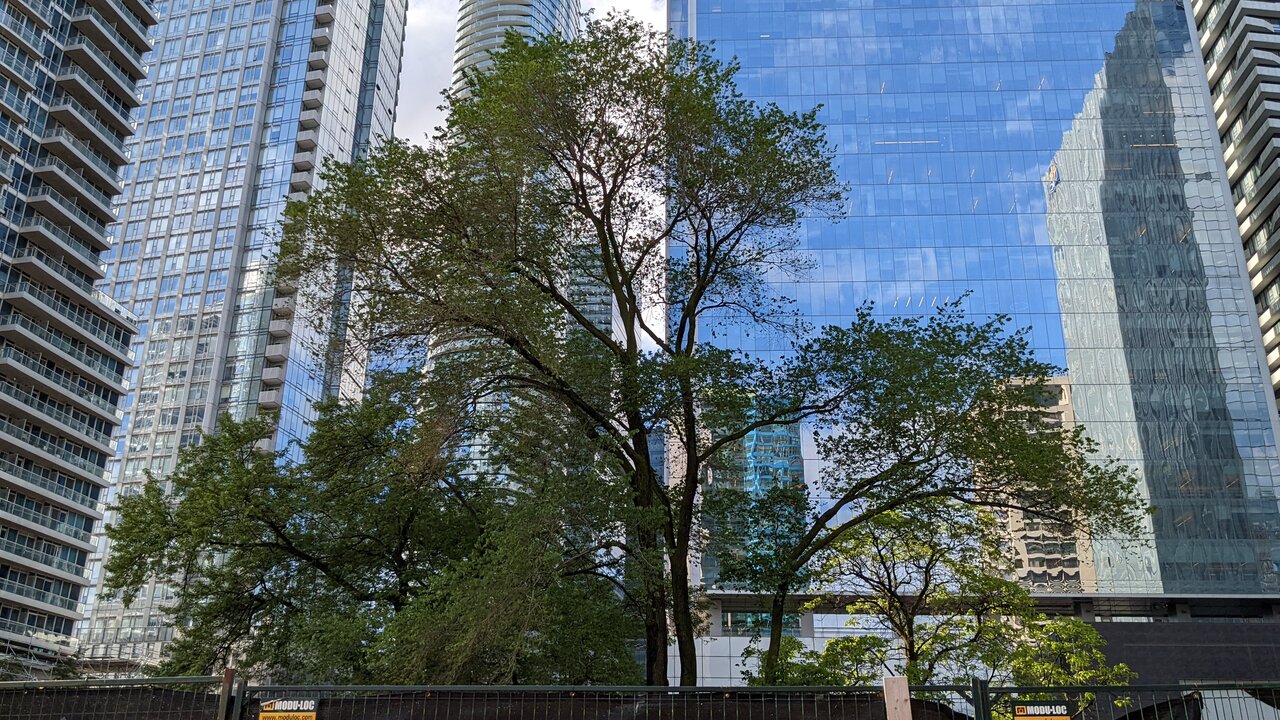 PXL_20220607_215117428.jpg