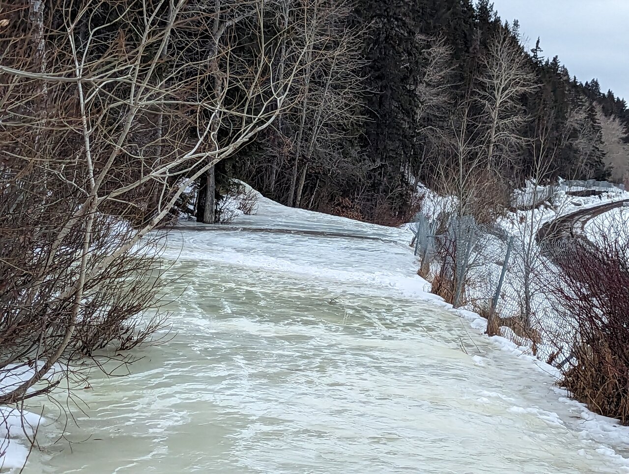PXL_20230208_151649723.jpg