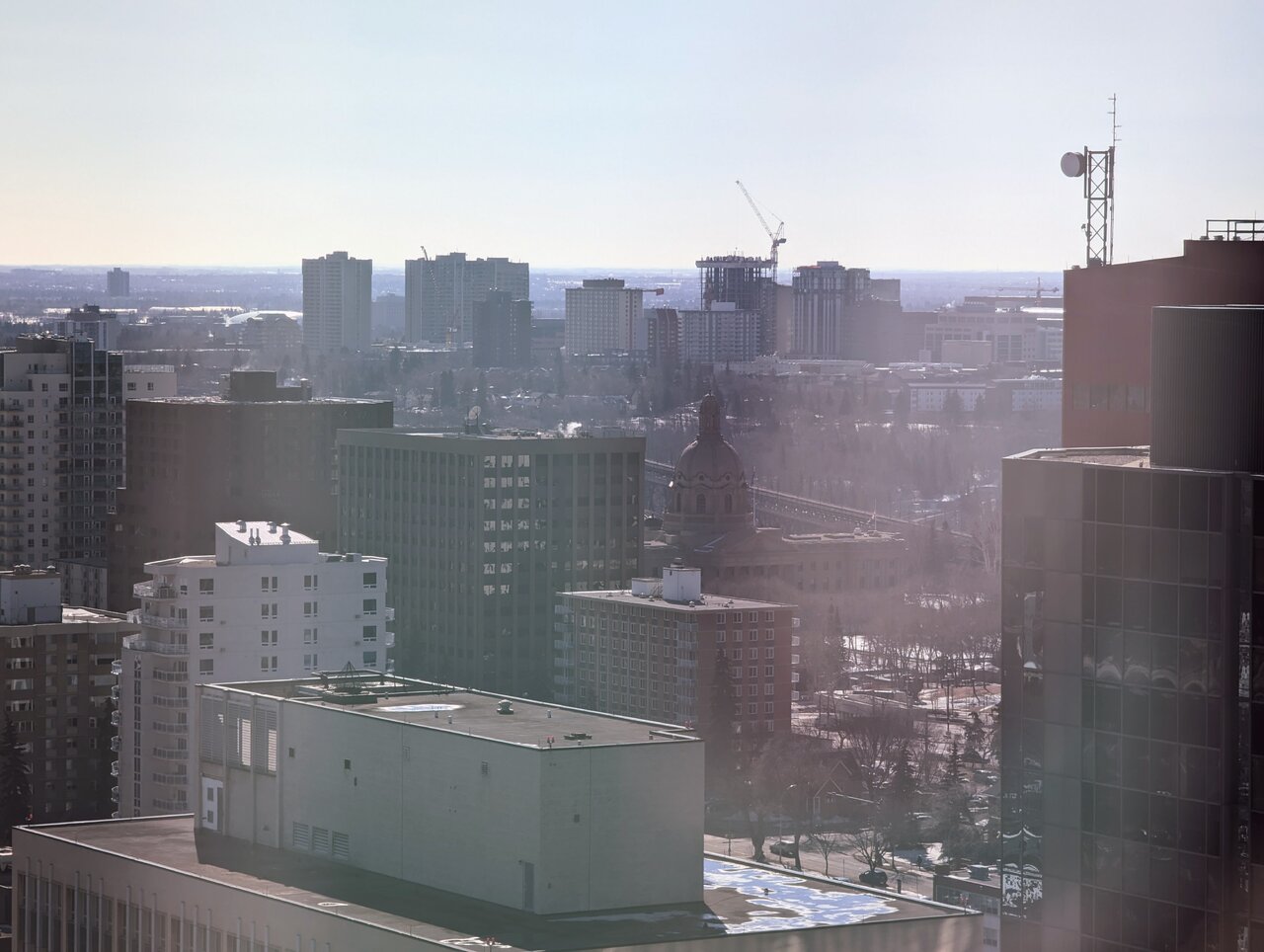 PXL_20230321_210133733.MP.jpg