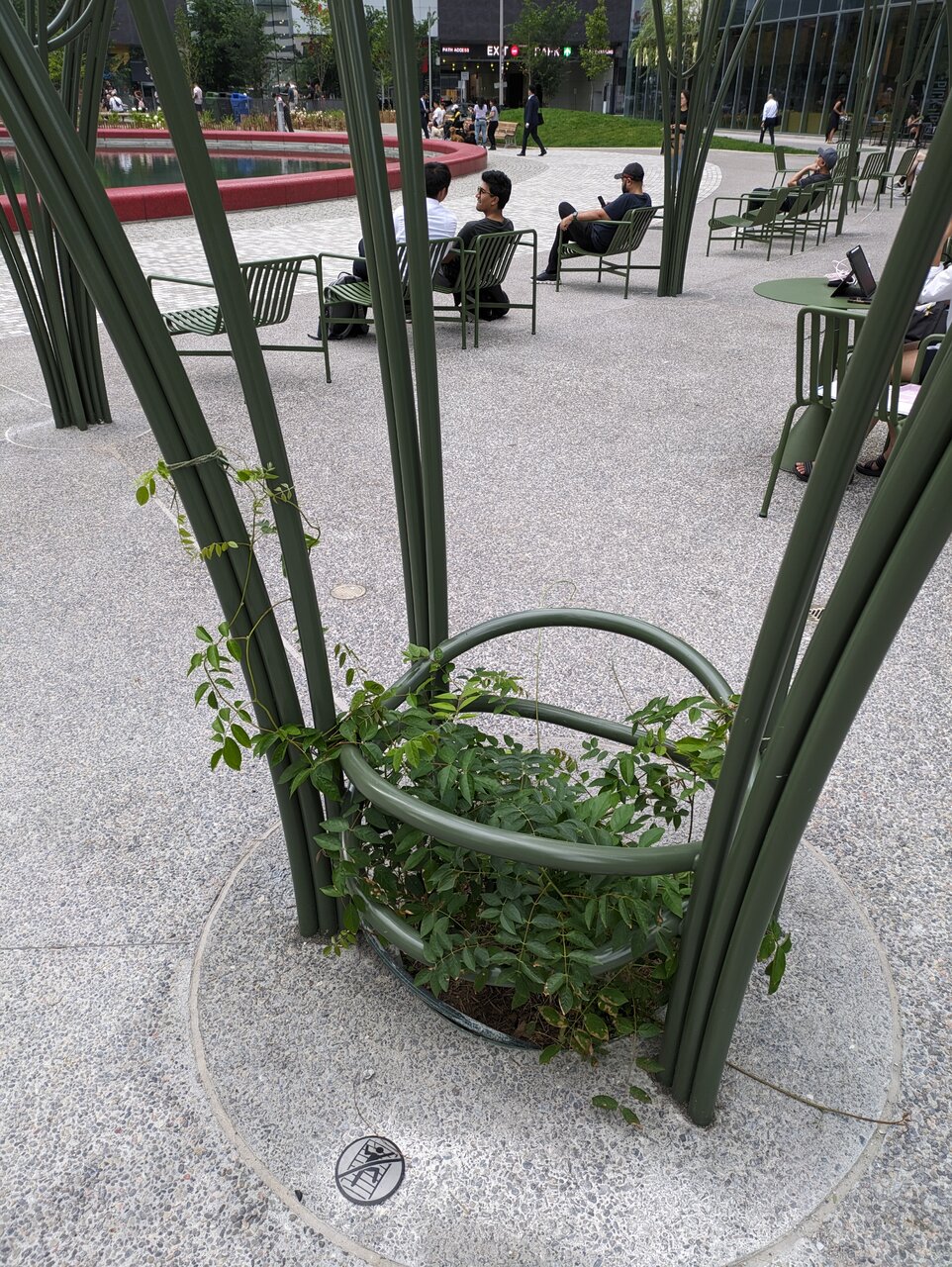 PXL_20230718_215658831.jpg
