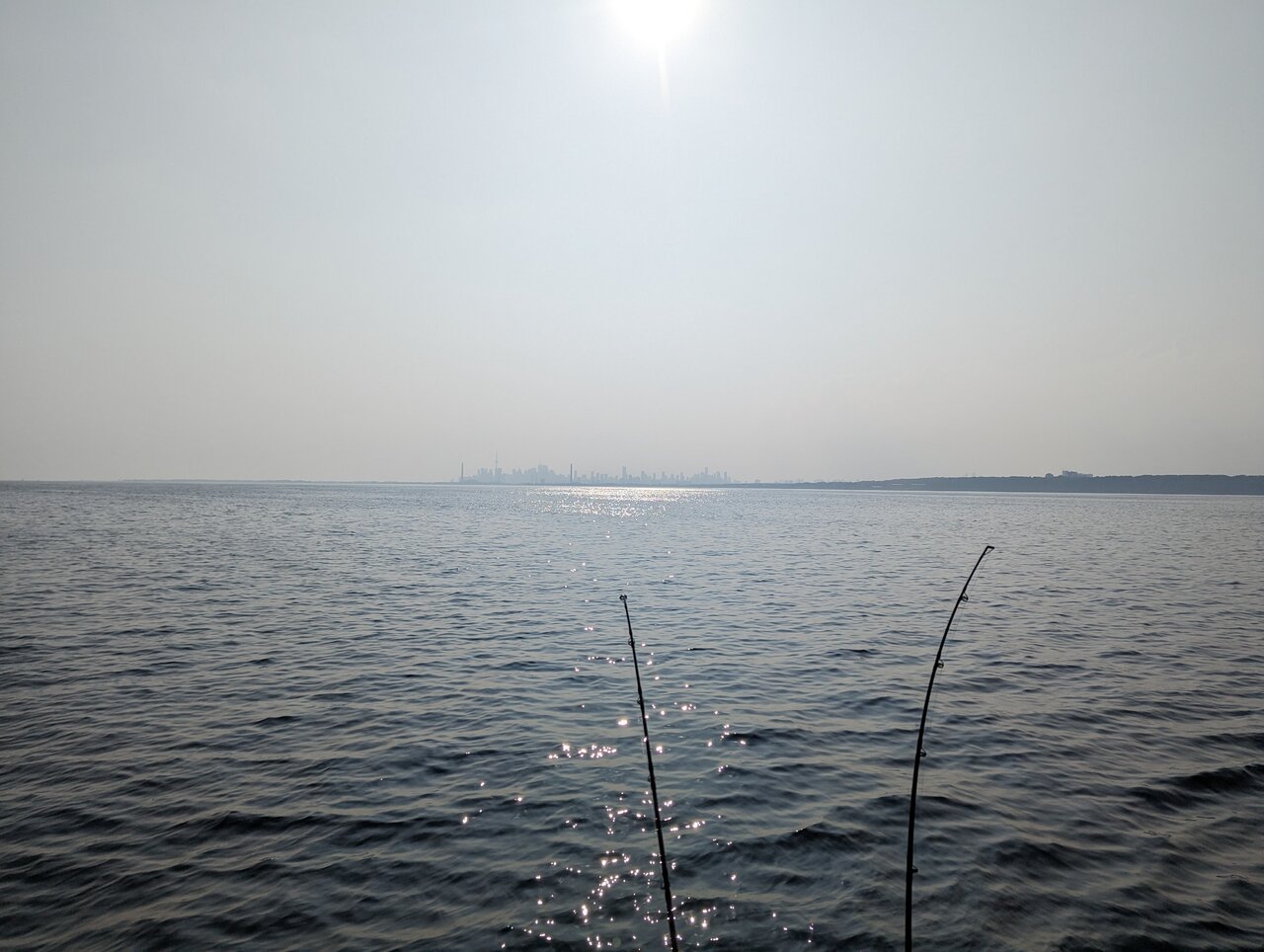 PXL_20230725_215628703.jpg