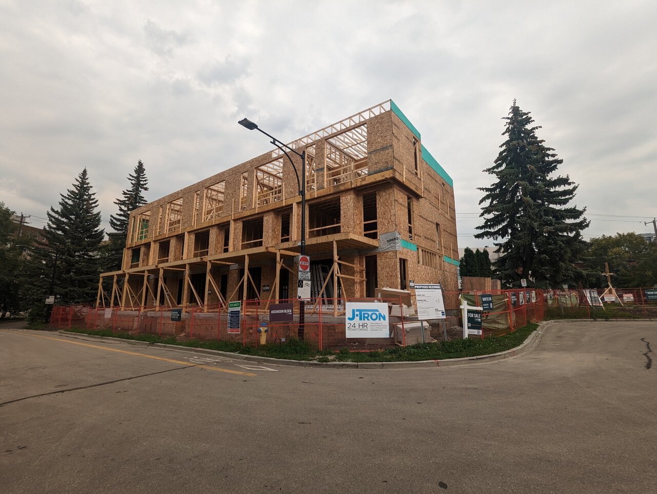 PXL_20230820_225914470.MP.jpg