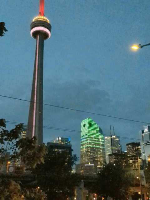PXL_20230907_000928011_exported_stabilized_1694047097579.gif