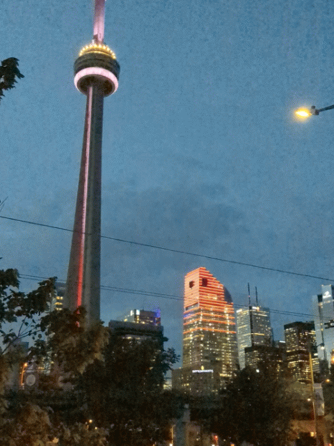 PXL_20230907_000931201_exported_stabilized_1694047077590.gif