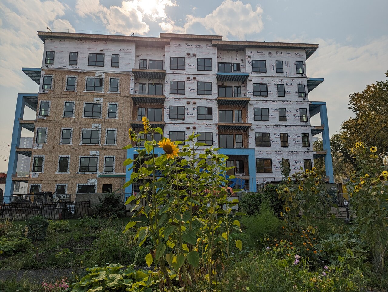 PXL_20230917_190738440.MP.jpg