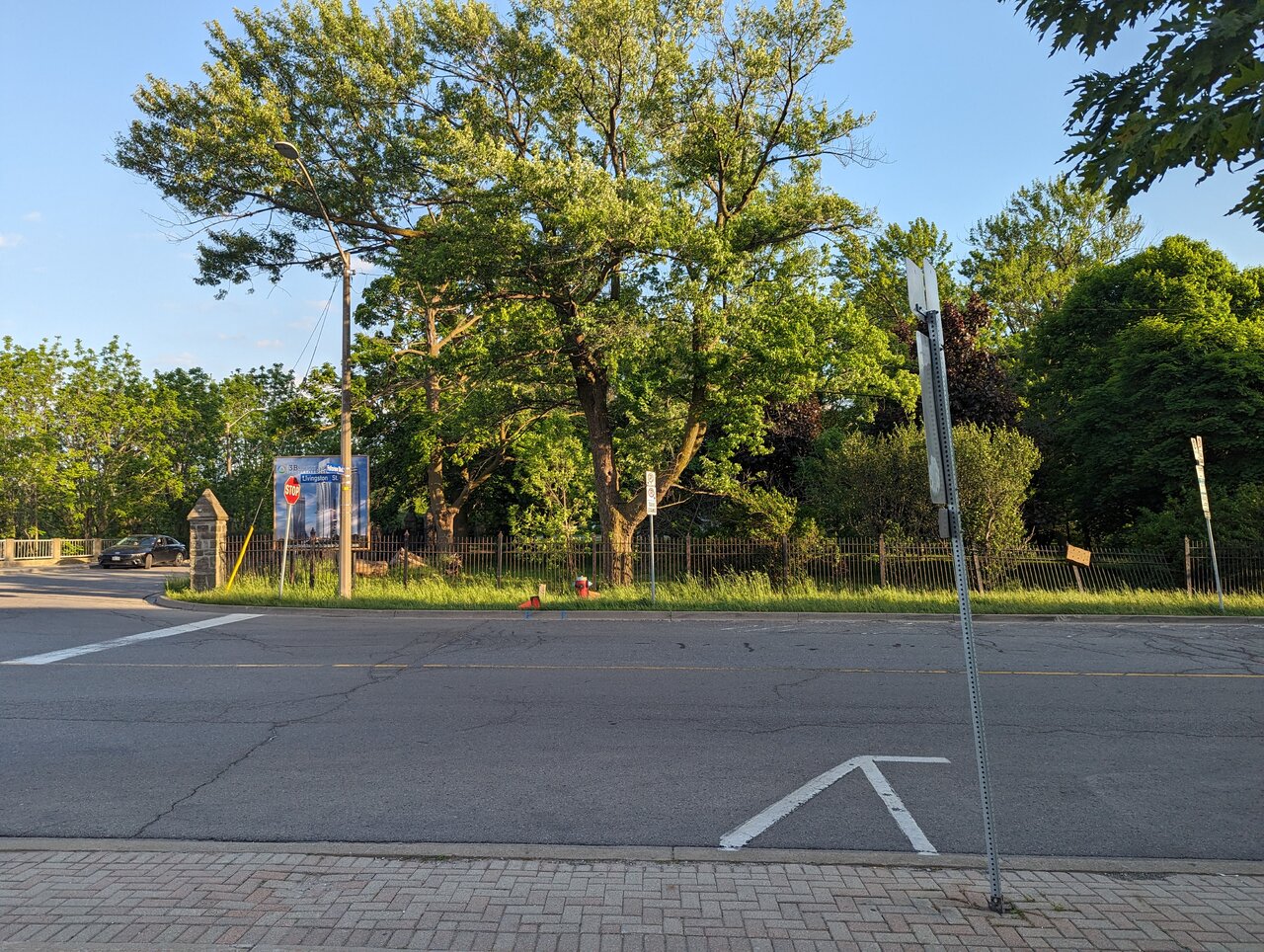 PXL_20240522_230955581.jpg