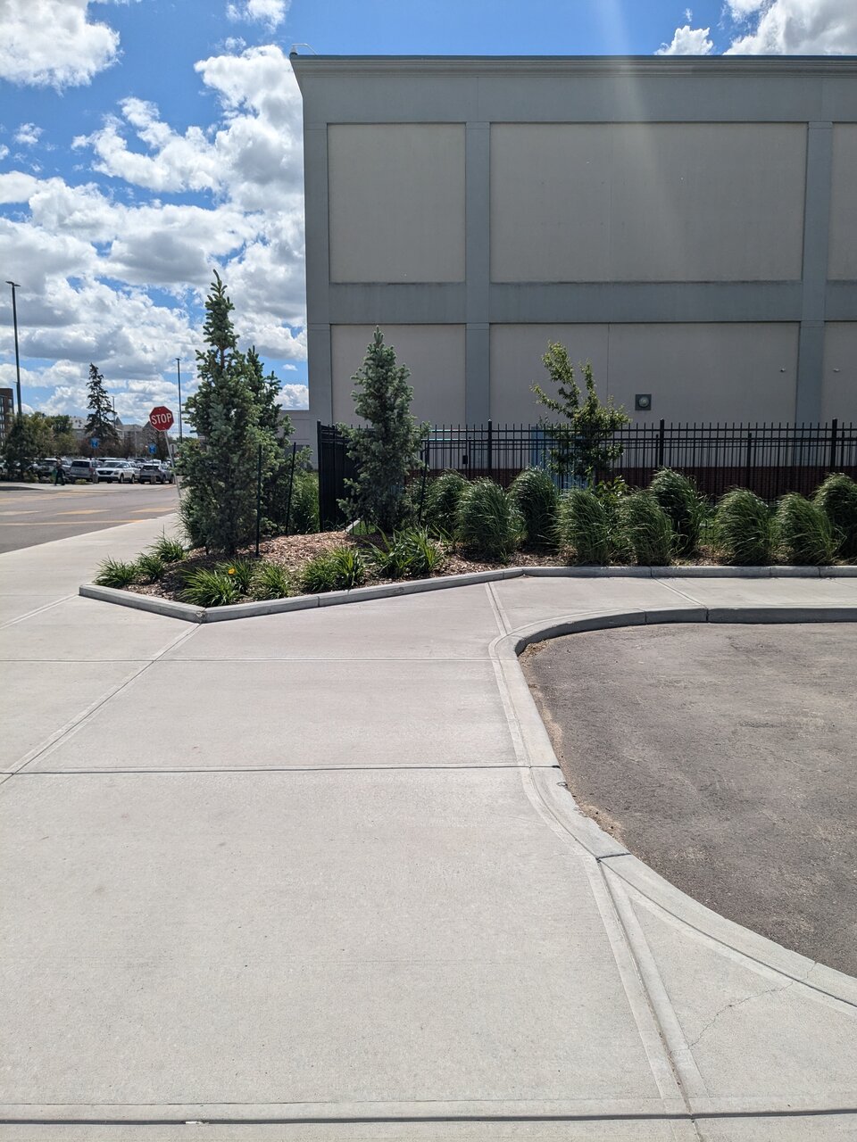 PXL_20240624_193957925.jpg