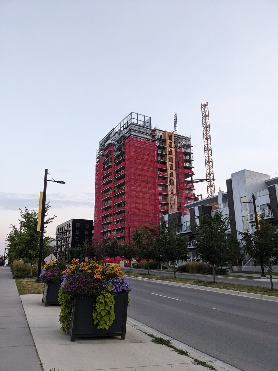 PXL_20240814_025403690.jpg