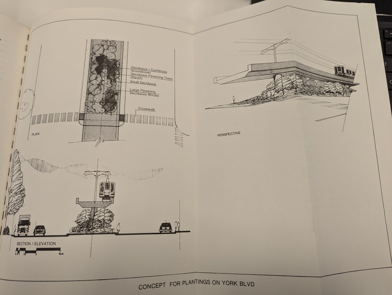 PXL_20240826_213454393.jpg