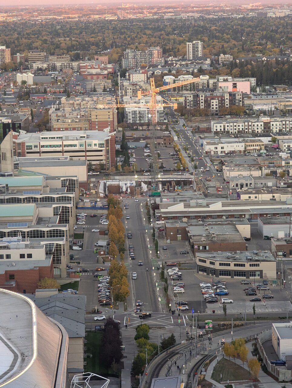 PXL_20241008_135342183.RAW-01.COVER.jpg
