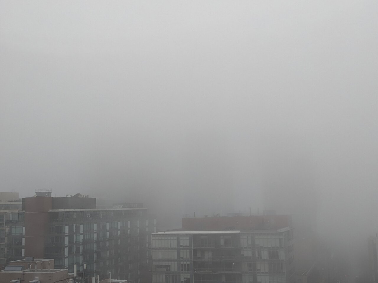 PXL_20241210_152835711.jpg