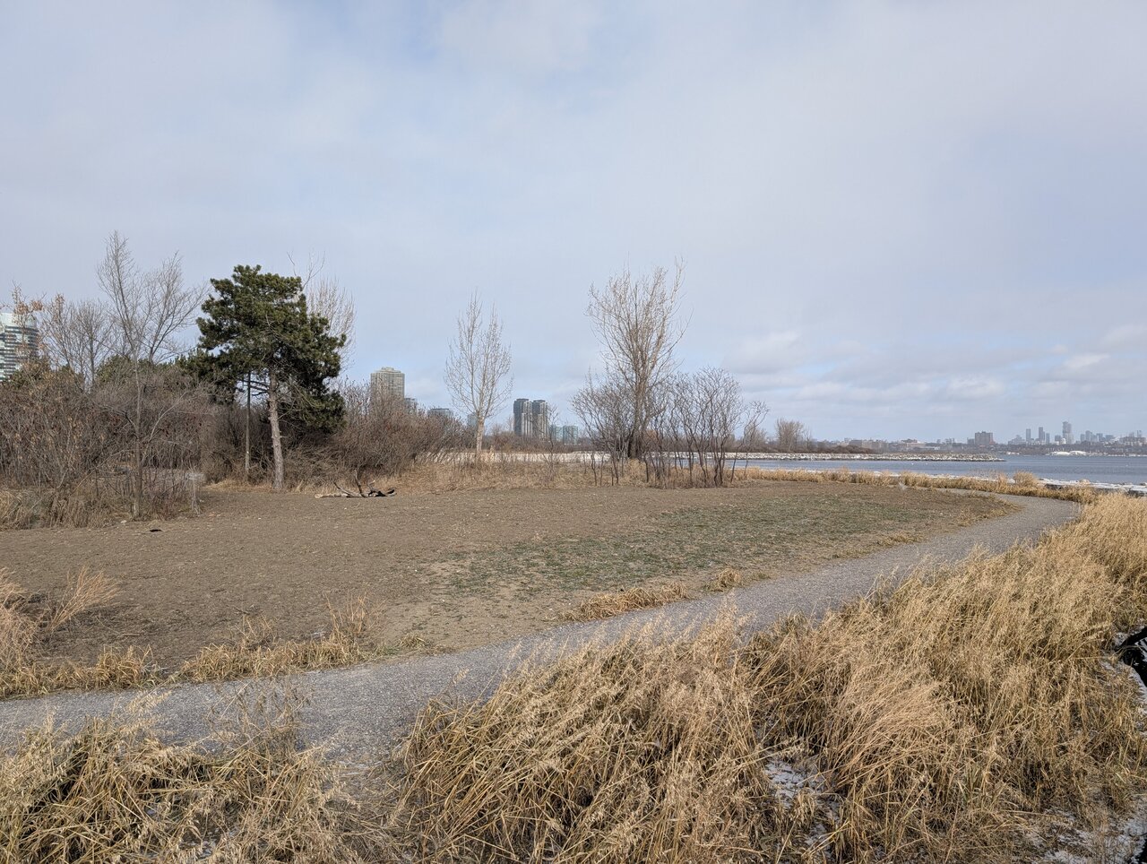 PXL_20250107_174025076.jpg