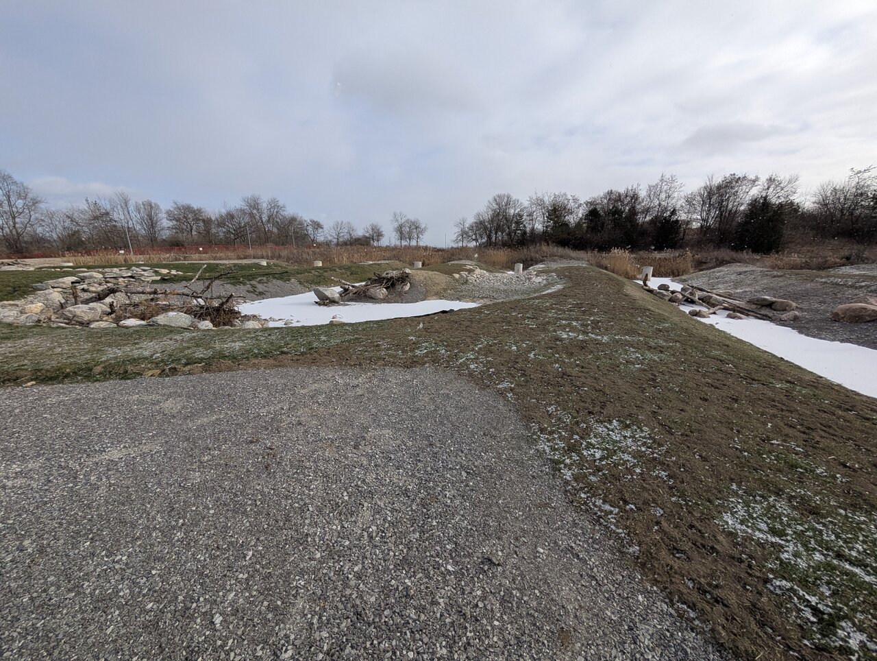 PXL_20250107_174926270.jpg