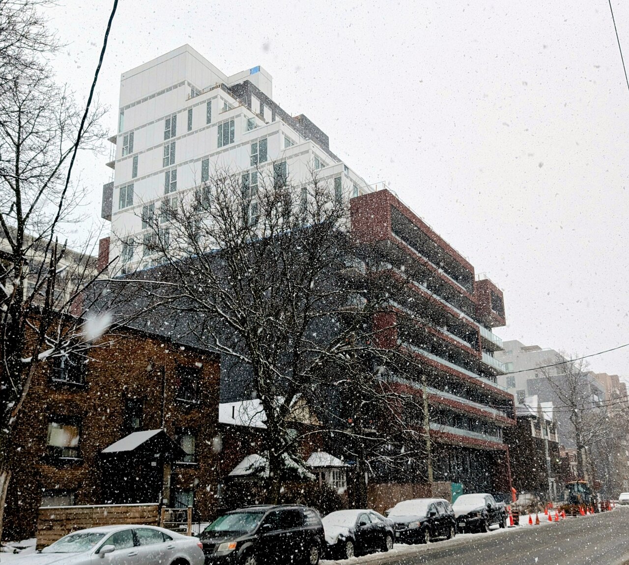 PXL_20260313_205012666~2.jpg