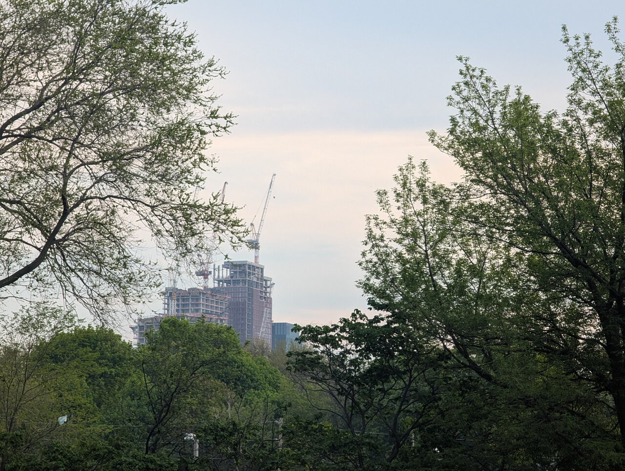PXL_20260517_234801473.jpg