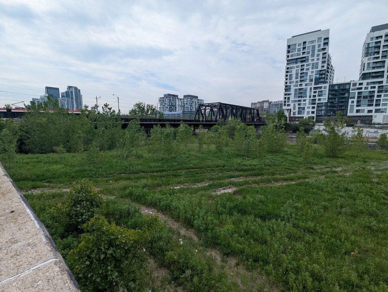 PXL_20260609_191911266.jpg