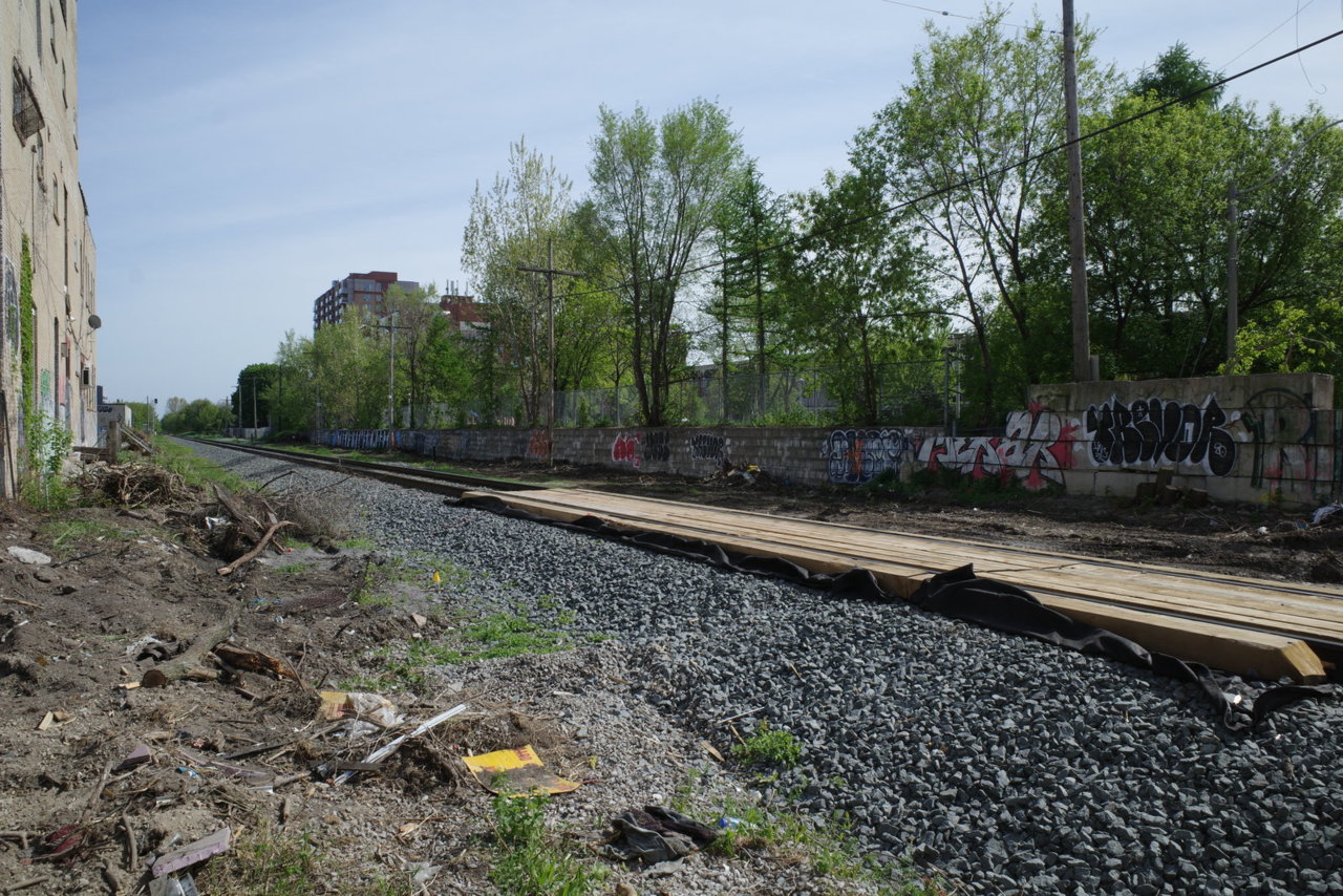 R0008582.JPG