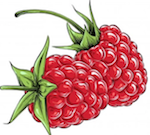 raspberry.png