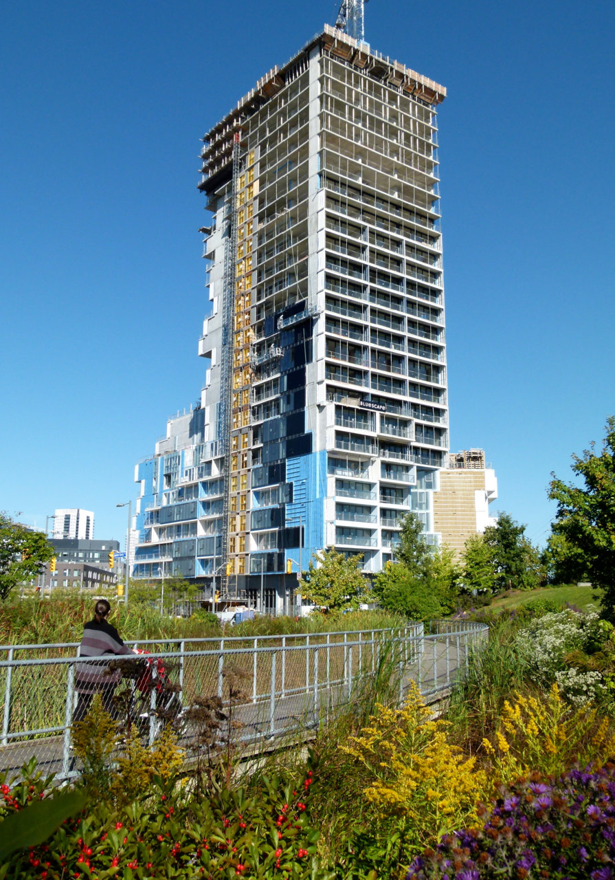 RC3.11.jpg