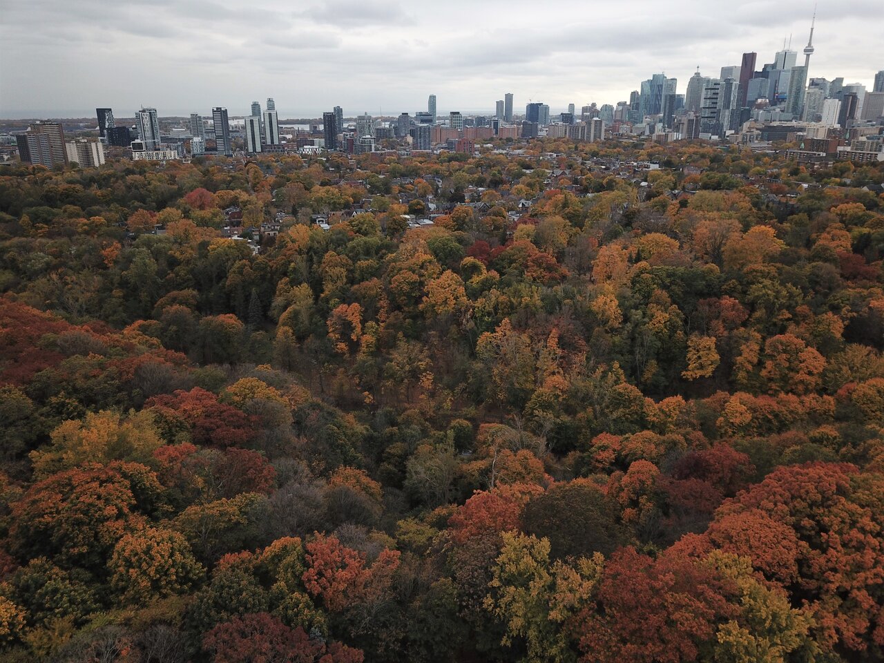 Regent Park.jpg