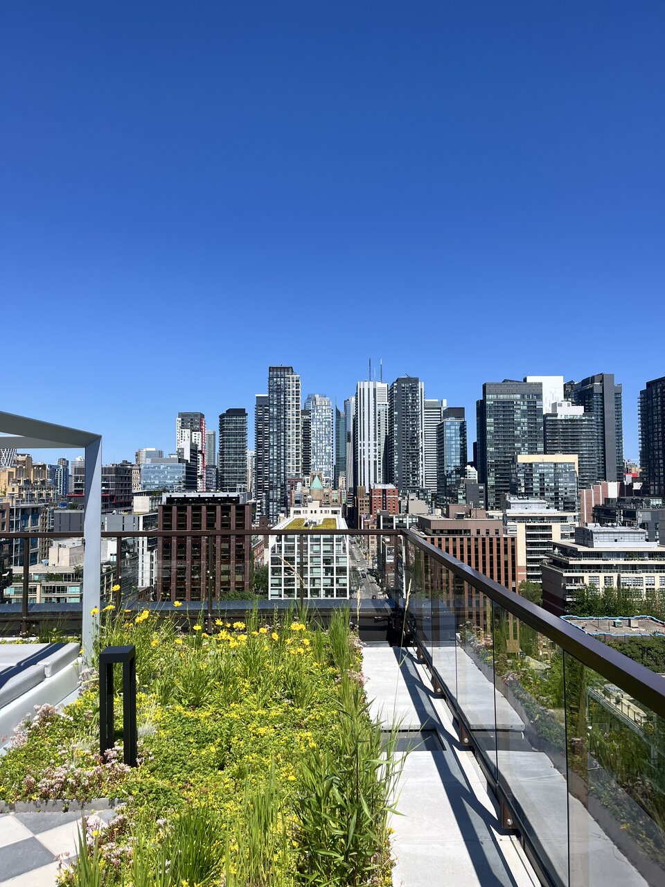 rooftop_day_2.JPG