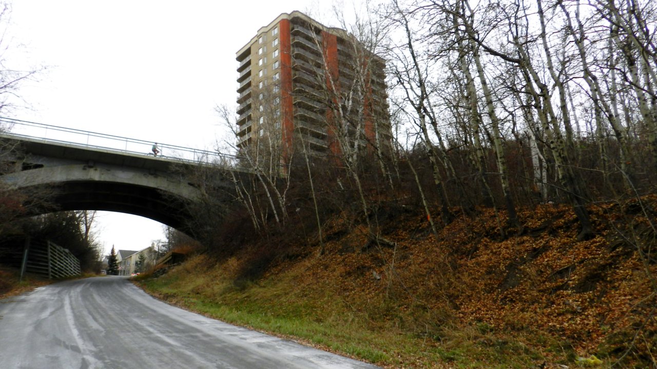 Sask. Dr. Whyte Ave 2019-10-30 280.JPG