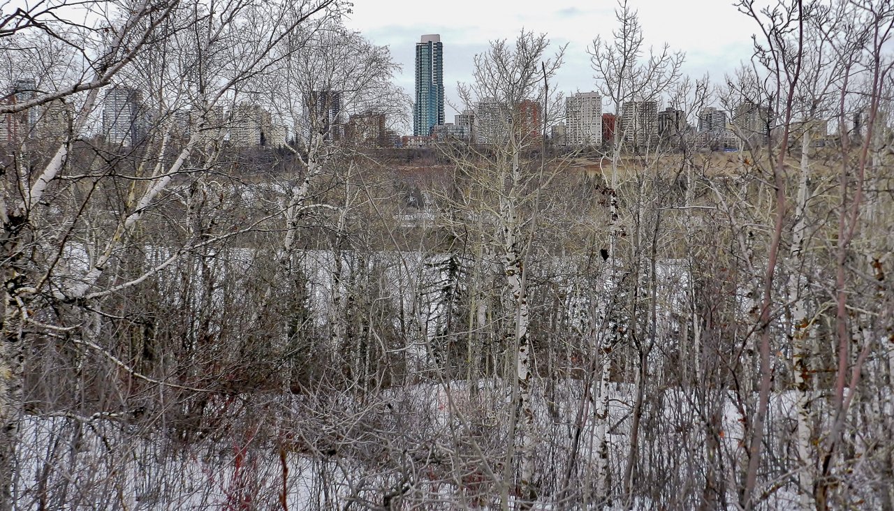 Saskatchewan Drrive- U of A 2020-03-22 059.JPG