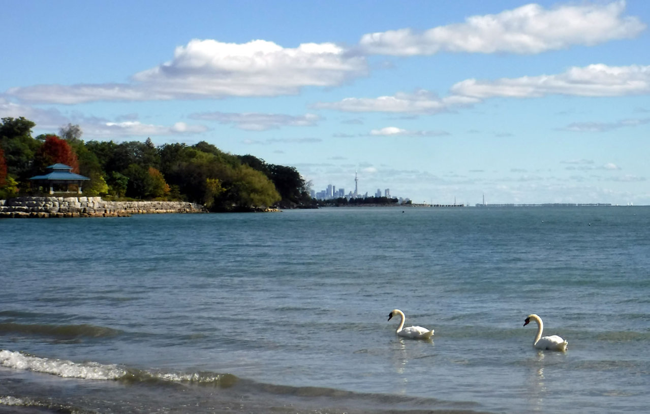 skyline-from-port-credit.jpg