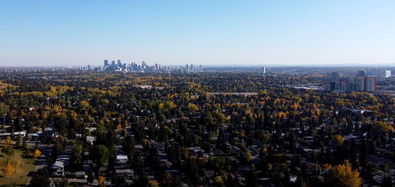 Skyline.PNG