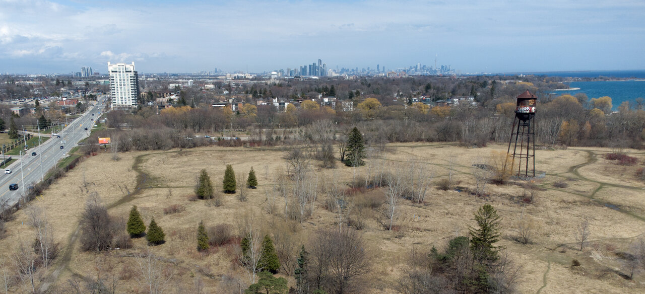 SkylineTO.jpg