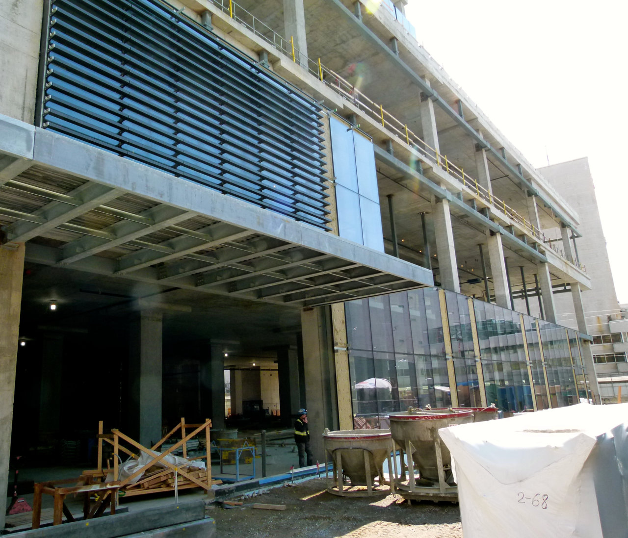 Sugar4.jpg