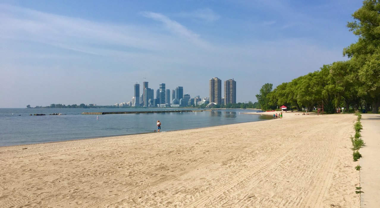 Sunnyside2.jpg