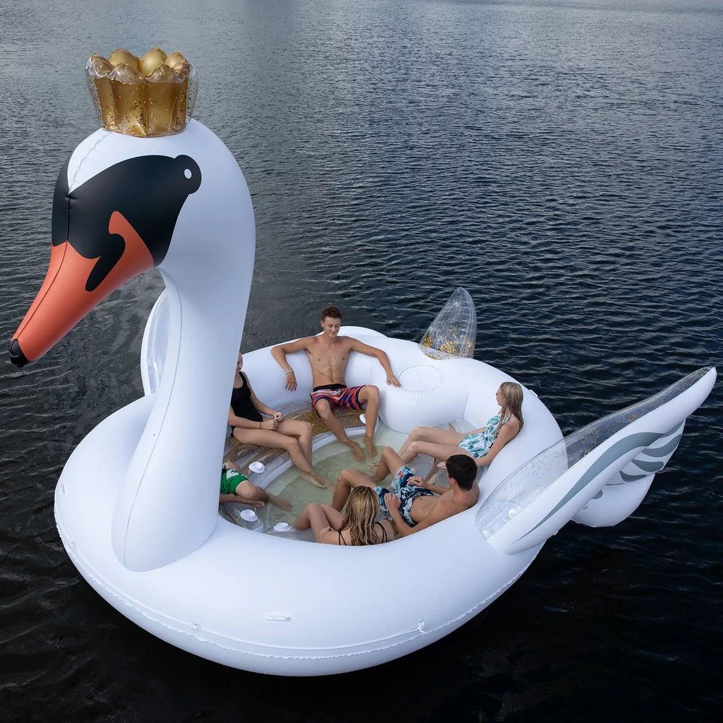 swan-float.jpg