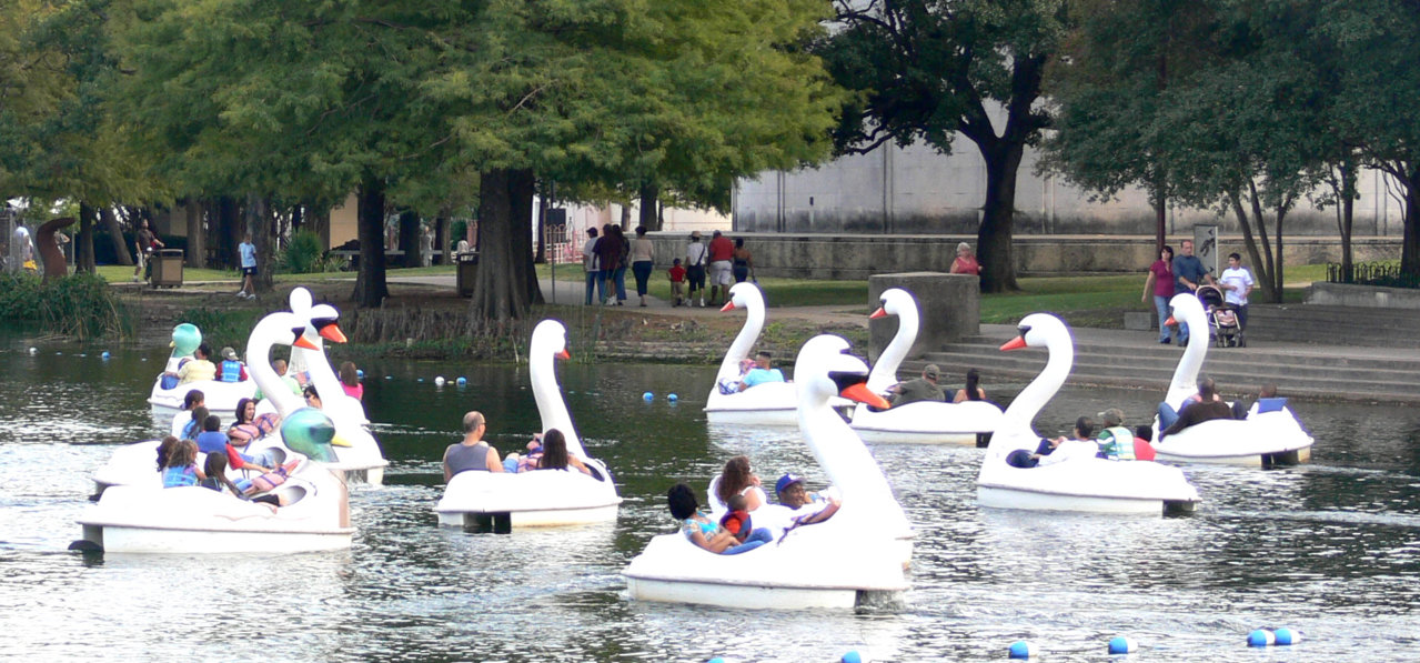 Swan.jpg