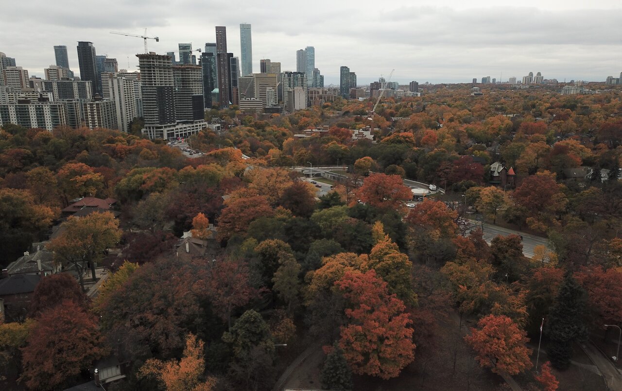 The Bloor.1.jpg
